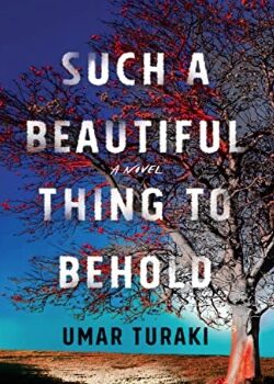 Such a Beautiful Thing to Behold – by Umar Turaki