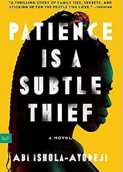 Patience Is a Subtle Thief by Abi Ishola-Ayodeji